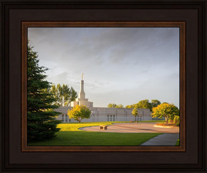 Bismarck Golden Glow