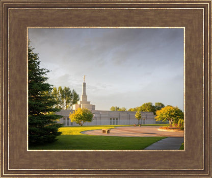 Bismarck Golden Glow