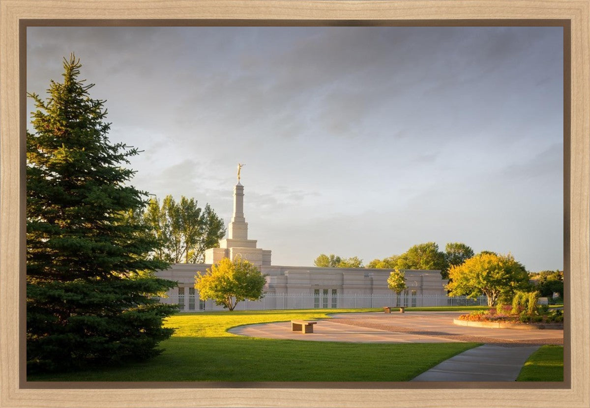 Bismarck Golden Glow Gallery Wrap