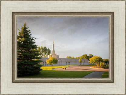 Bismarck Golden Glow