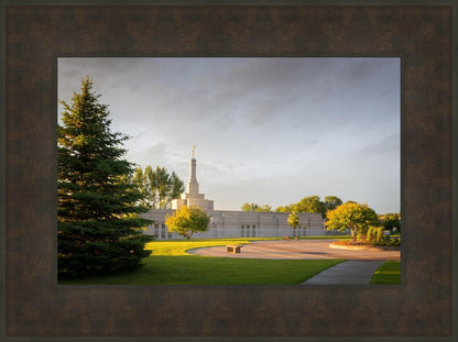 Bismarck Golden Glow