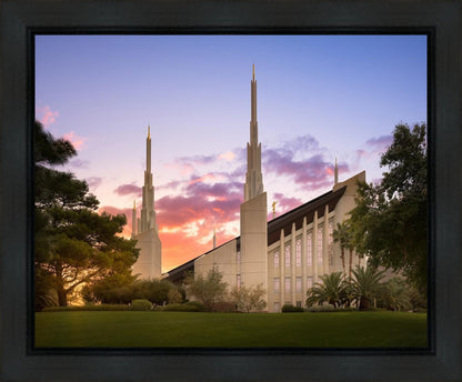 Las Vegas Desert Rose