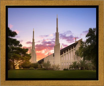 Las Vegas Desert Rose