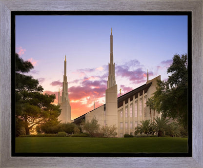 Las Vegas Desert Rose