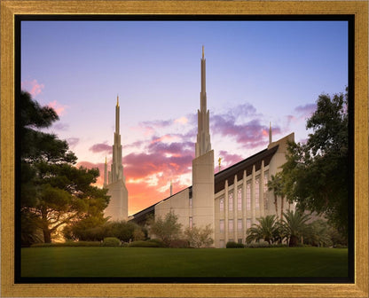 Las Vegas Desert Rose