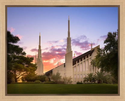 Las Vegas Desert Rose