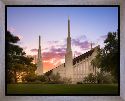 Las Vegas Desert Rose