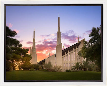 Las Vegas Desert Rose