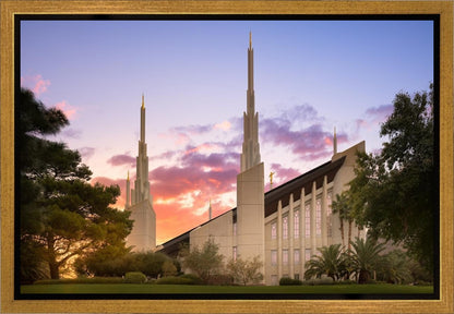 Las Vegas Desert Rose