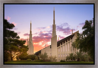 Las Vegas Desert Rose