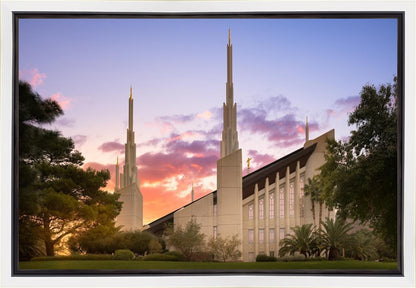 Las Vegas Desert Rose