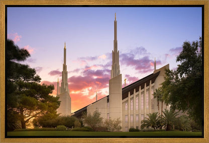 Las Vegas Desert Rose