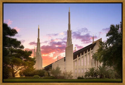 Las Vegas Desert Rose