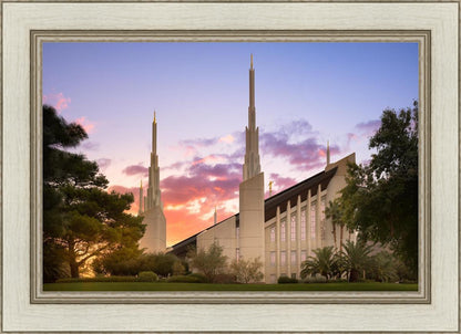 Las Vegas Desert Rose