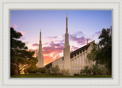 Las Vegas Desert Rose