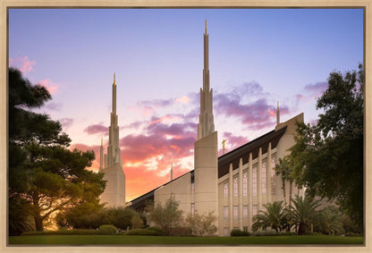 Las Vegas Desert Rose