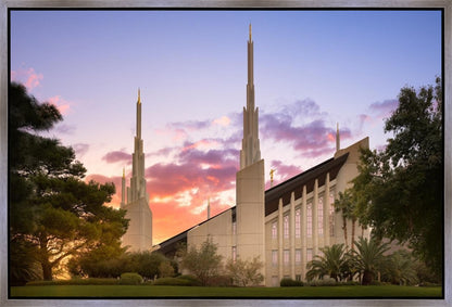 Las Vegas Desert Rose