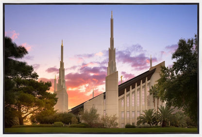 Las Vegas Desert Rose