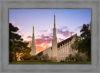 Las Vegas Desert Rose