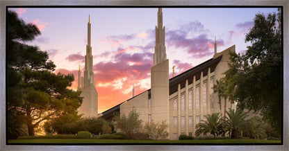 Las Vegas Desert Rose