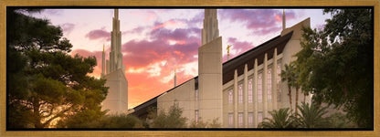 Las Vegas Desert Rose