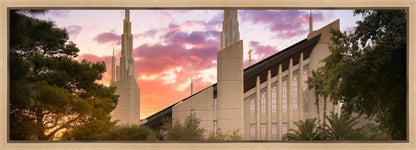 Las Vegas Desert Rose