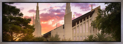 Las Vegas Desert Rose