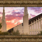 Las Vegas Desert Rose