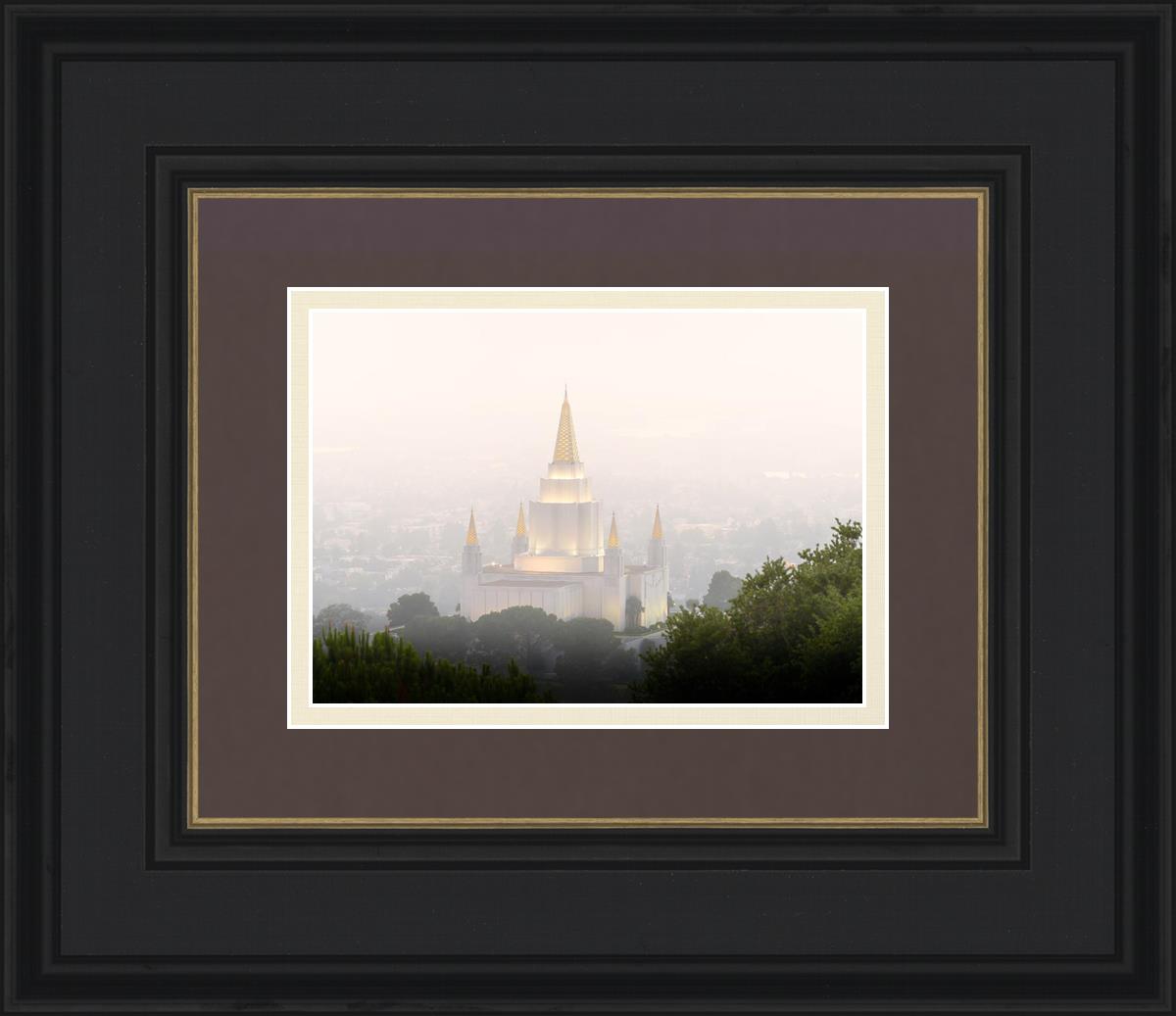 Foggy Oakland