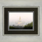 Foggy Oakland