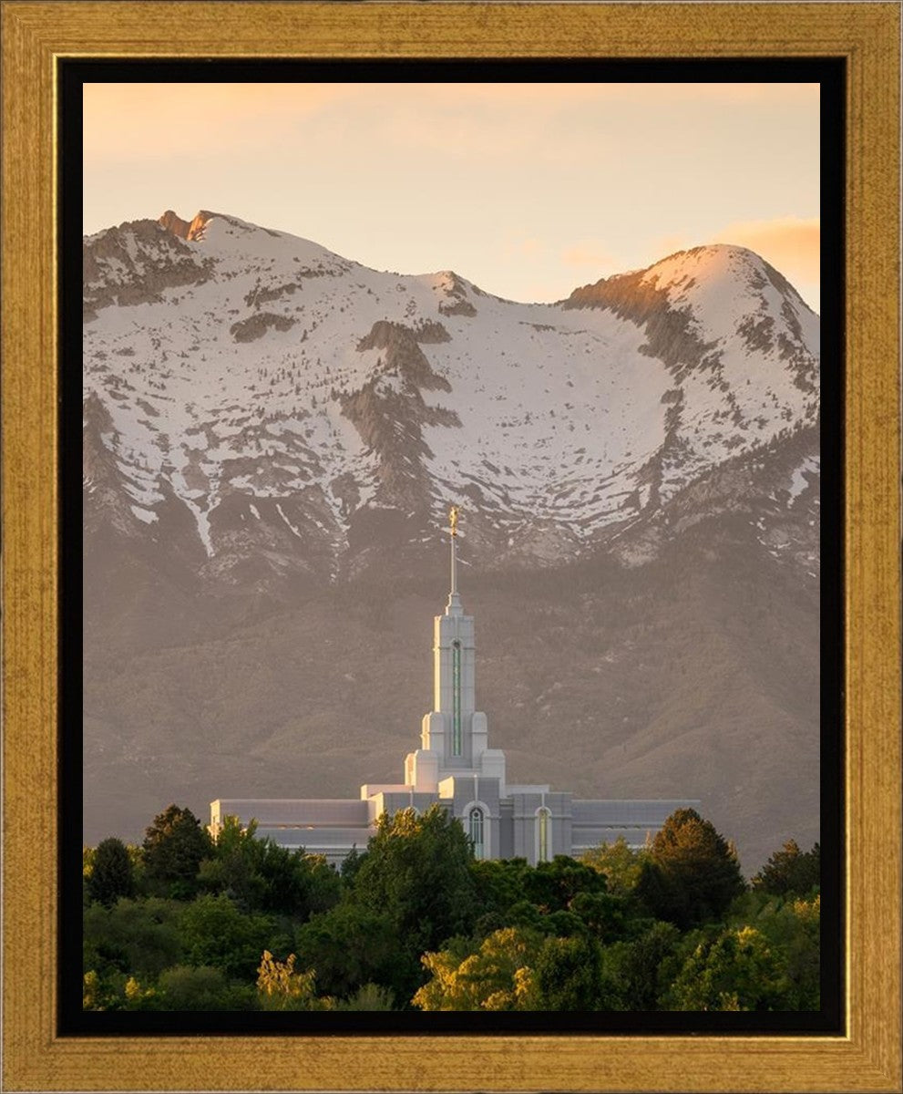 Mt. Timpanogos You’re not Alone