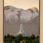 Mt. Timpanogos You’re not Alone