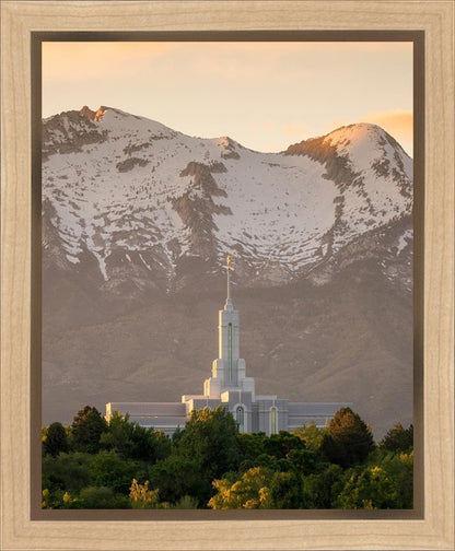 Mt. Timpanogos You’re not Alone