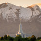 Mt. Timpanogos You’re not Alone