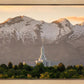 Mt. Timpanogos You’re not Alone