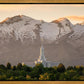 Mt. Timpanogos You’re not Alone