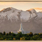 Mt. Timpanogos You’re not Alone
