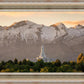 Mt. Timpanogos You’re not Alone