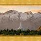 Mt. Timpanogos You’re not Alone