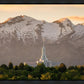 Mt. Timpanogos You’re not Alone