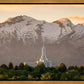 Mt. Timpanogos You’re not Alone