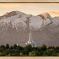 Mt. Timpanogos You’re not Alone