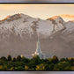 Mt. Timpanogos You’re not Alone