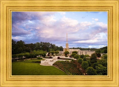 Atlanta From On High