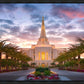 Gilbert Garden Oasis