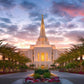 Gilbert Garden Oasis