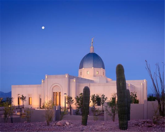 Tucson Cactus Morning Gallery Wrap