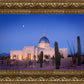 Tucson Cactus Morning