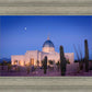 Tucson Cactus Morning