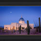 Tucson Cactus Morning